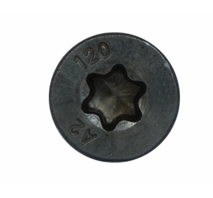 NONOX wood screw with a Torx drive