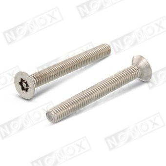 Pin Torx security screw