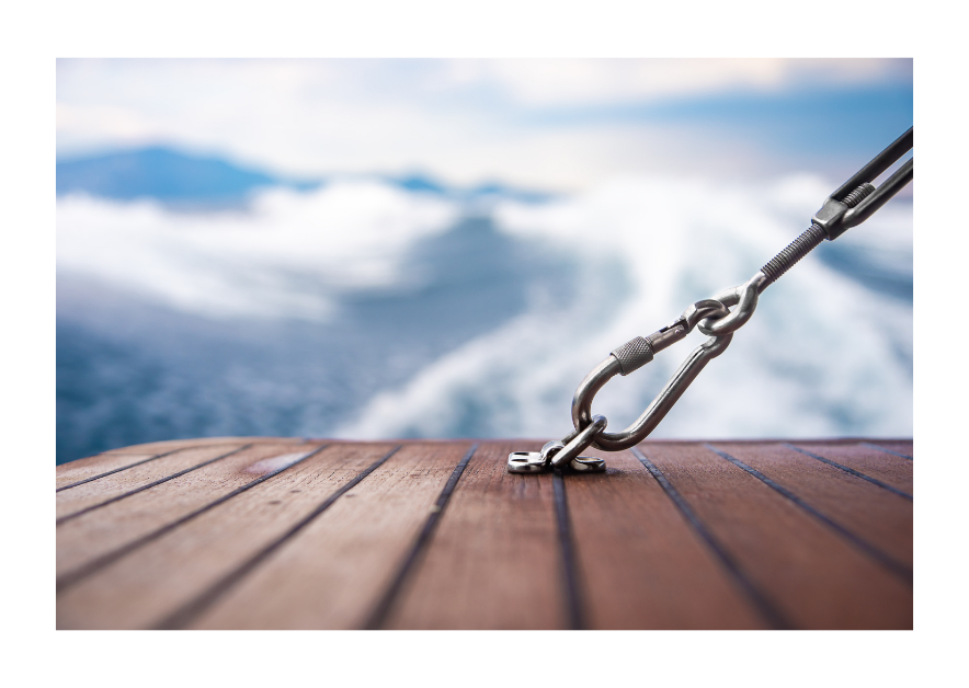 NONOX stainless carabiners