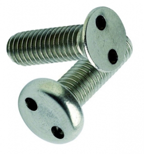 The snake-eye security screw